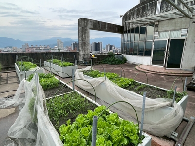 種植成果