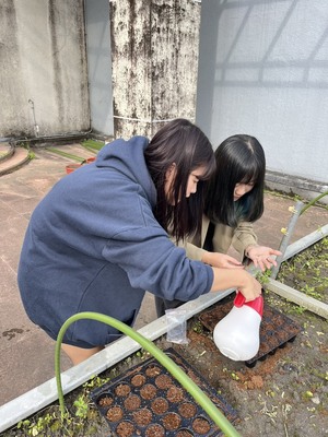 同學進行種子育苗