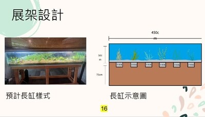 勝洋水草水族長缸設計示意圖