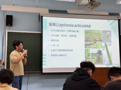 解說什麼是蒲草